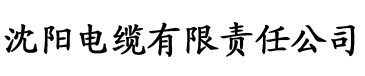 关婷娜一级A片电缆厂logo